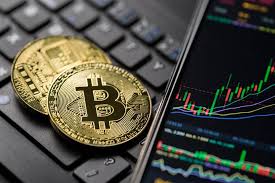 Exploring the Future of Trading Crypto Bots
